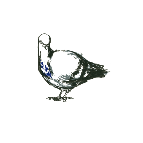 Garnethill Pigeon II, Violet